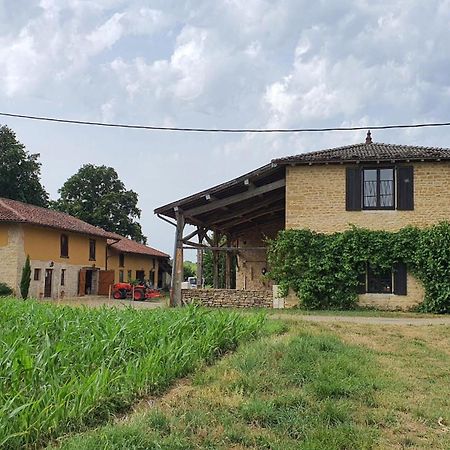 Le Moulin Du Fay Bed and Breakfast Villemotier Εξωτερικό φωτογραφία